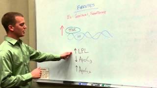 Fibrate Drugs How to Treat Hypertriglyceridemias [upl. by Helfand285]