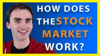 How Does The Stock Market Work  Stock Market Basics [upl. by Jerad]