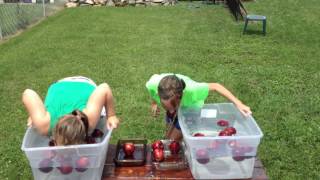 Bobbing for Apples Challenge Part 2 [upl. by Yendirb665]