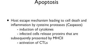 Viral Evasion Strategies Lecture 15 [upl. by Eecram]