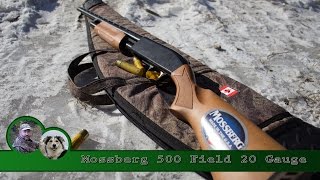 Mossberg 500 Field Pump Shotgun Review and Patterning [upl. by Katsuyama]