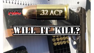 Truth about the 32 ACP [upl. by Victoria]