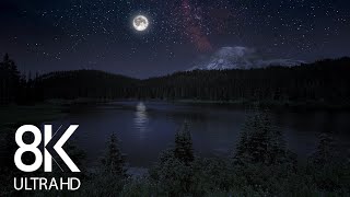 10 HRS of Nighttime Nature Soundscapes Lake Waves Cicadas Crickets  8K Enchanting Night [upl. by Lorette]