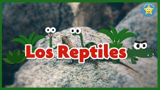 REPTILES para niños  Videos Aprende [upl. by Zednanref]