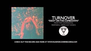 Turnover  quotDizzy On The Comedownquot Official Audio [upl. by Yeroc925]