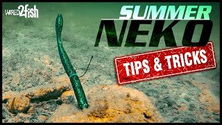 4 Neko Rig Tricks for Tough Late Summer Bass [upl. by Akemej]