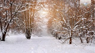 Winter Classical Music Tchaikovsky Vivaldi Mussorgsky Smetana [upl. by Zilvia333]