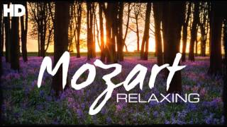 The Best Relaxing Classical Music Ever By Mozart  Relaxation Meditation Reading Focus [upl. by Davida]