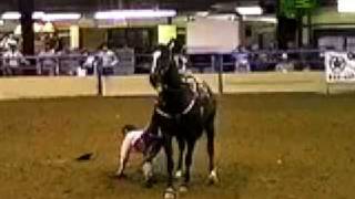 Woman Crushed By Horse [upl. by Sumer]