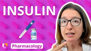 Insulin  Pharmacology  Endocrine System  LevelUpRN [upl. by Rokach]