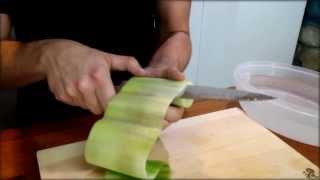 Cucumber Sushi Roll Recipe  Japanese Food Recipe [upl. by Bibah]