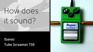 Ibanez Tube Screamer TS9  How does it sound [upl. by Hcab]