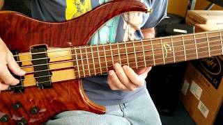 Gregg Voorhees demos his Peavey Cirrus 6 String Bass [upl. by Olaznog]