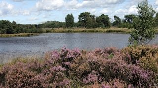 De toeristische troeven van Kalmthout in vogelvlucht [upl. by Mcmath]