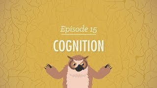 Cognition  How Your Mind Can Amaze and Betray You Crash Course Psychology 15 [upl. by Nnahgaem]