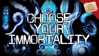 3 Types of Immortality  Digging Deeper [upl. by Qirat]