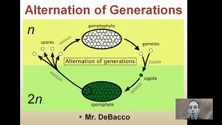 Alternation of Generations [upl. by Elamrej]