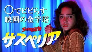 サスペリア Suspiria 映画紹介 [upl. by Ranique]