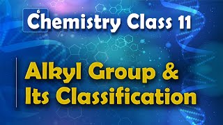 Alkyl Group and Its Classification  Alkanes  Chemistry Class 11 [upl. by Mackay903]