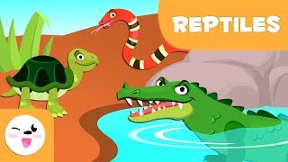 Reptiles for kids  Vertebrate animals  Natural Science For Kids [upl. by Rosenzweig]