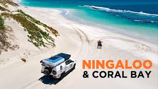 NINGALOO REEF AUSTRALIA  Better than GREAT BARRIER Road Trip CORAL BAY [upl. by Buckler]