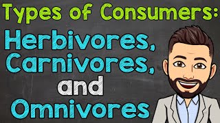 Types of Consumers  Herbivores Carnivores and Omnivores [upl. by Nessi]