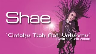 SHAE  Cintaku Tlah Mati Untukmu Official Music Video [upl. by Htims442]