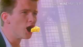 Rick Astley Meme Compilation [upl. by Nnoj515]