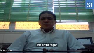 Urobilinogen in urine explained [upl. by Erhard]