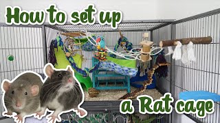 How to set up a Rat cage [upl. by Petracca20]