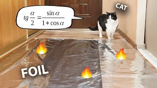 Do Cats Walk On Foil An Experiment [upl. by Ethelinda]