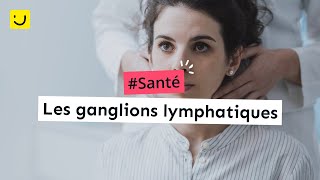 Les ganglions lymphatiques [upl. by Ciapha]