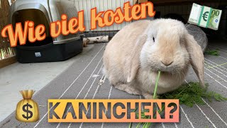 Wie viel kosten Kaninchen  Stupsnasenbande [upl. by Sordnaxela]