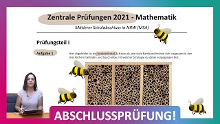 ZP 10 NRW Mathe 2021  Mittlerer Schulabschluss Realschule MSA  Teil 1 Aufgabe 1  Insektenhotel [upl. by Yras]