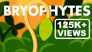 Bryophytes Class 11  Life Cycle of Bryophytes ANIMATION  Plant Kingdom Class 11  NEET [upl. by Liam844]