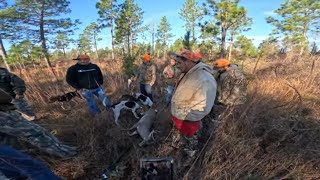 Deer Doggin On Public Land Lost Tribe Hunting Club 2023 Deer Season [upl. by Perrins839]