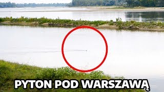 POSZUKIWANIA PYTONA POD WARSZAWĄ  Urbex History [upl. by Candie]