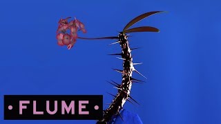 Flume  Hyperreal feat Kučka [upl. by Notsruht139]