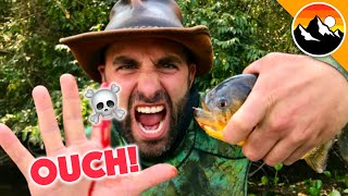 EATEN ALIVE  Human Hands vs Piranha [upl. by Poppas]