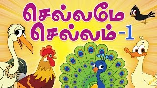 Chellame Chellam Tamil Rhymes Vol 1  NonStop Compilations  Tamil Rhymes for Children [upl. by Enoid552]