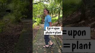 What is an Epiphyte See Examples in Nature [upl. by Ailaht]