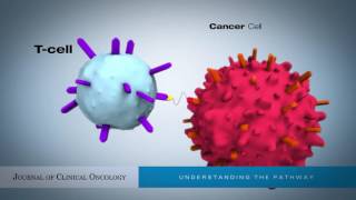 How do things move across a cell membrane  Cells  MCAT  Khan Academy [upl. by Schroeder]