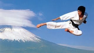 Shotokan Karate Kicks [upl. by Notserp]