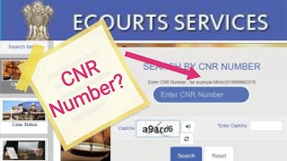 What Is CNR Number In Detail  How To Check Court Case Status With CNR Number  Ecourt Services [upl. by Odinevneib254]