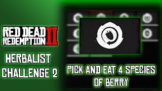 RDR2 Herbalist Challenge 2 Pick and Eat Four Species of Berry [upl. by Ahsiakal]