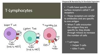 Chapter 112 Immunity  Lymphocytes [upl. by Teerprah505]