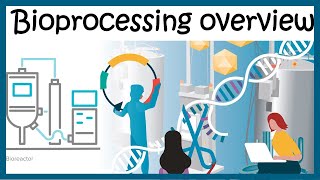 Bioprocessing overview Upstream and downstream process [upl. by Ezekiel]