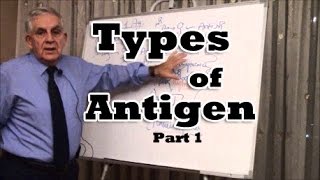 Types of Antigen  Part 1 [upl. by Rudich]