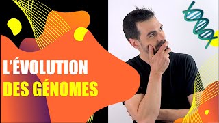 COURS DE TERMINALE SPÉCIALITÉ SVT  CHAP4 LÉVOLUTION DES GÉNOMES Bio Logique [upl. by Stag]