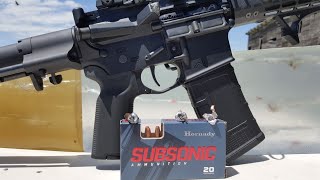 Hornady 190gr Sub X 300 Blackout Ammo Test amp Review [upl. by Assej]